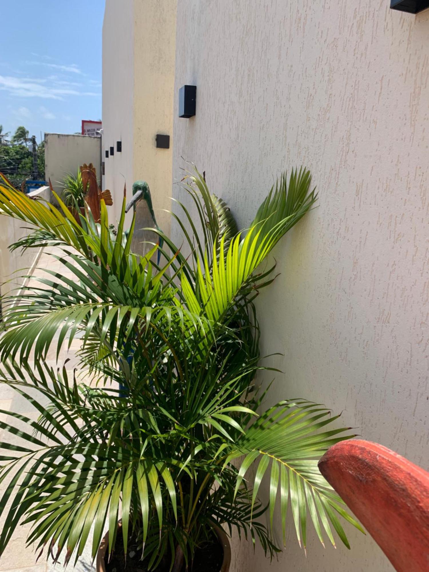 Villa Peixe Na Telha Pôrto das Galinhas 外观 照片