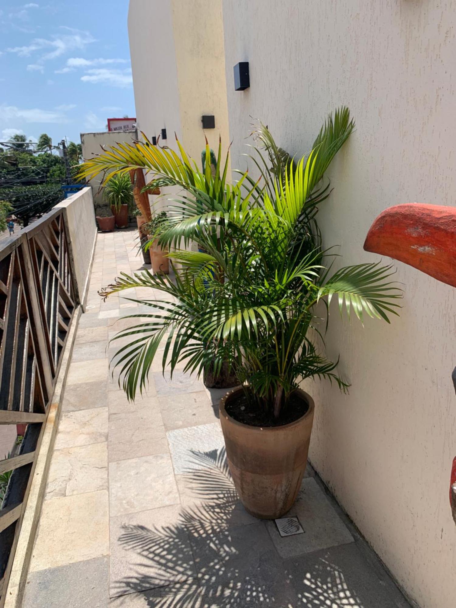 Villa Peixe Na Telha Pôrto das Galinhas 外观 照片